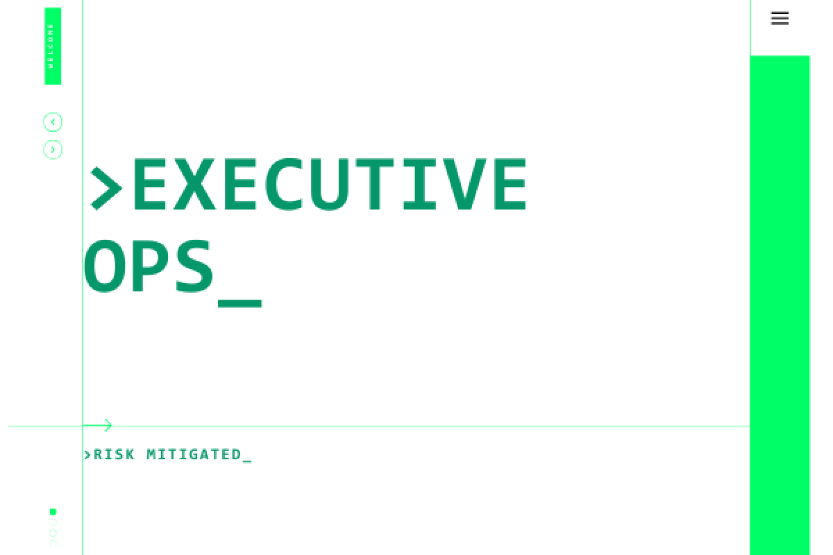 Turnkey Executive Management: Navigating Operational Distress and Safeguarding Profit Margins