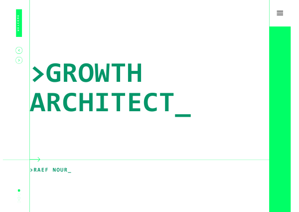 Raef Nour: Bridging Complex Software Architecture with High-Yield Business Growth